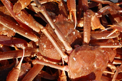 3K Supplementary Snow Crab Enterprise