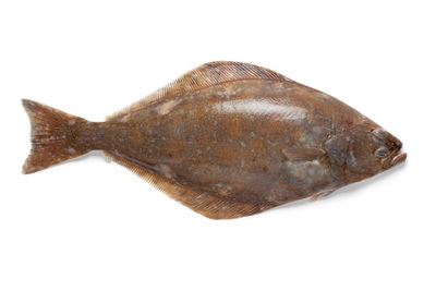 Core 4RST Halibut License