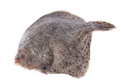 0B Validation pour les poissons de fond